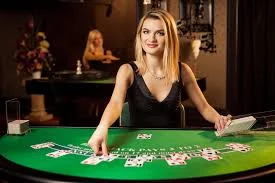 Ảnh minh họa BC88 BET – Đá Gà BC88BET: Kiểm Tra Kèo, Kết Quả Và Nguồn Dữ Liệu